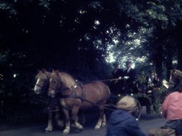 Schützenfest 1967